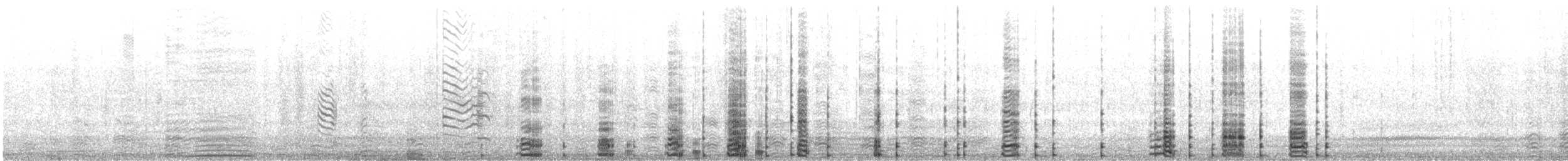 Krähenscharbe - ML532807641