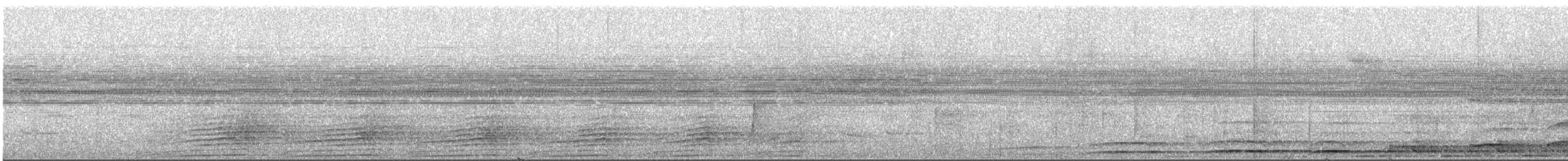 Black-and-white-casqued Hornbill - ML532844731