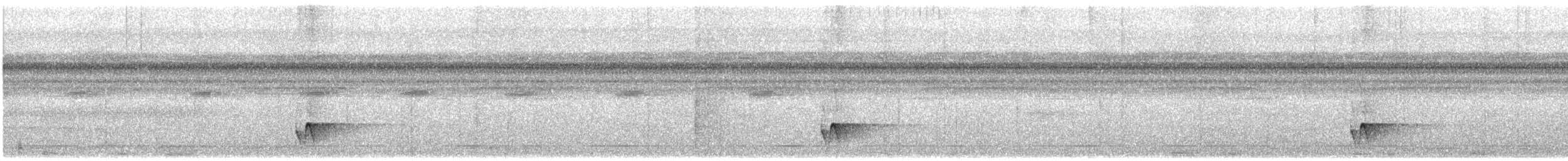 Graubrust-Ameisendrossel - ML532897541