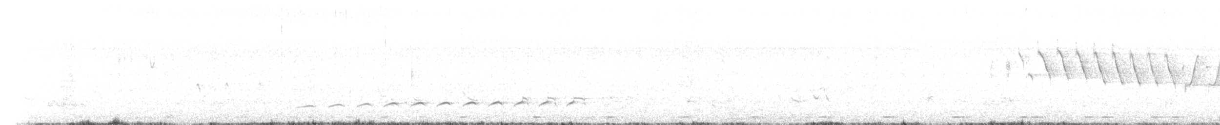 buse ou aigle sp. - ML532928861