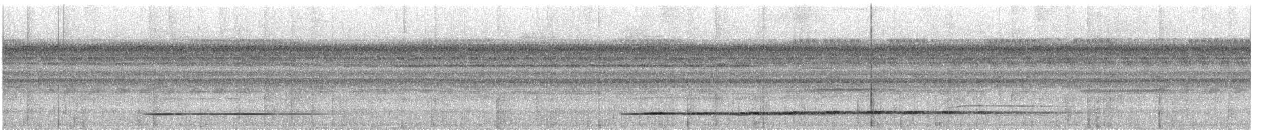 Variegated Tinamou - ML532941041