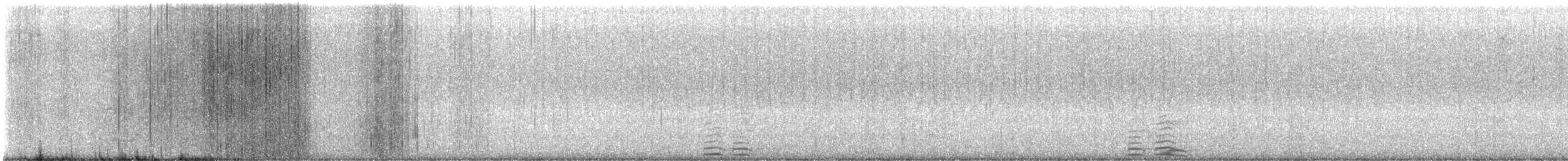 Cygne trompette - ML532955771