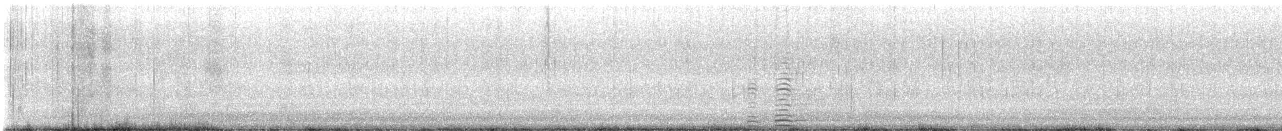 Cygne trompette - ML532955781