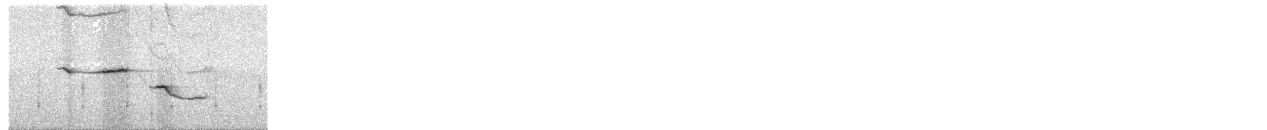 Buztanikara argia - ML532960811