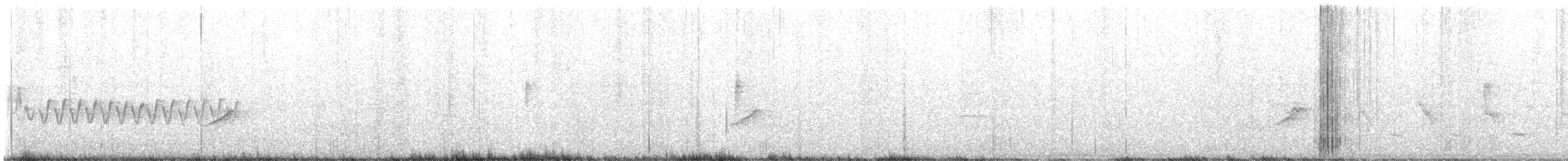 Pine Warbler - ML532970111