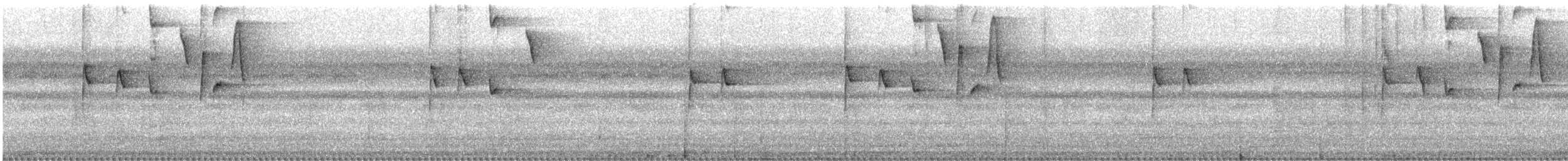 Perlbrust-Spitzschnabel - ML532981791