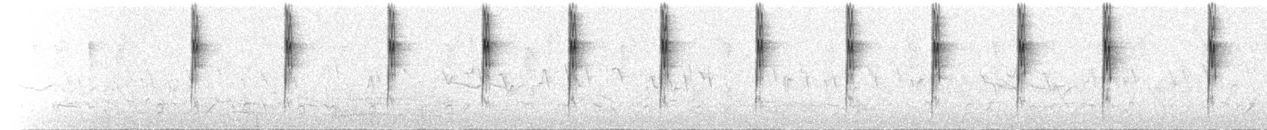 Dawn song - Three-striped Hemispingus