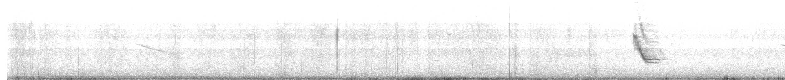 Long-tailed Mockingbird - ML533088311