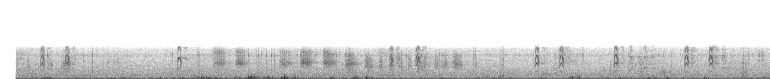 sørhavsterne - ML533120761