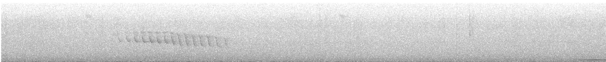 オオテリハウズラバト - ML533190221