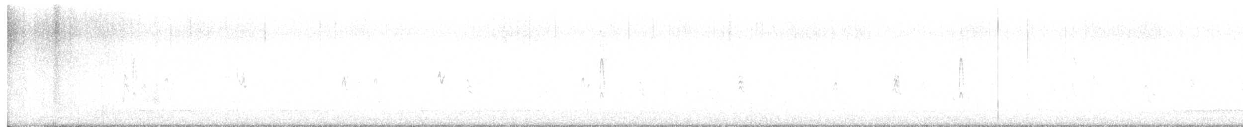 strakapoud proužkohřbetý - ML533219671