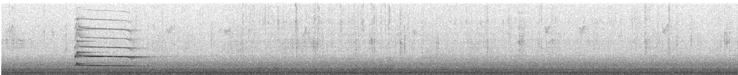 Black Woodpecker - ML533225411