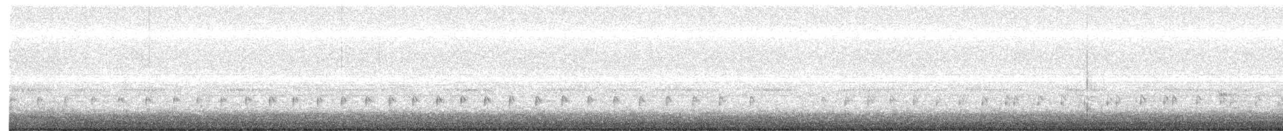 Сипуха крапчаста [група tuidara] - ML533228111