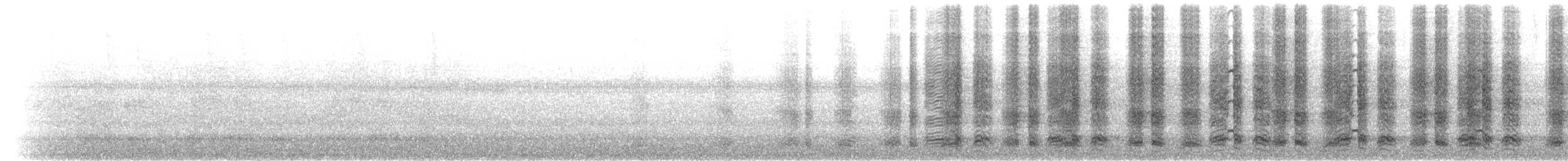 Speckled Chachalaca (Speckled) - ML533233261