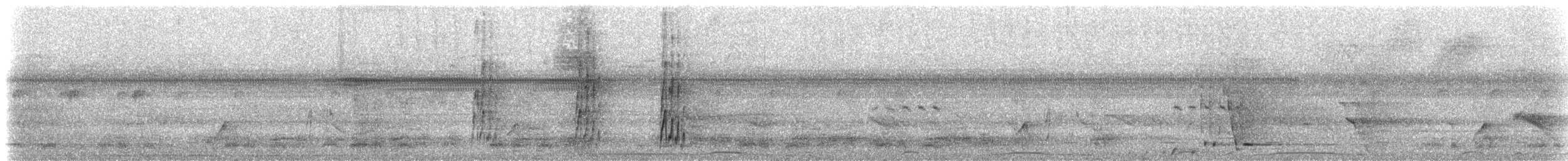 Kara Sırtlı Todi Sinekkapanı - ML533235091
