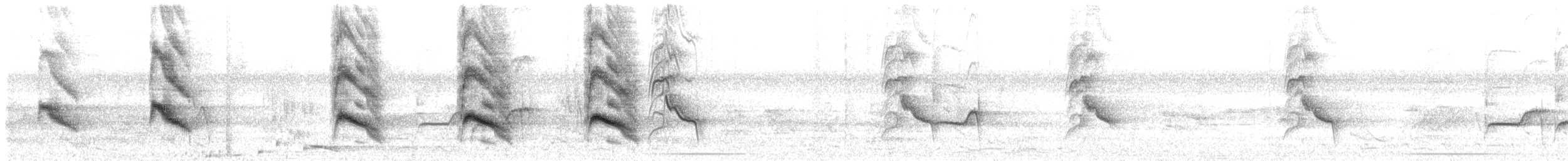Chara Violácea - ML533235201