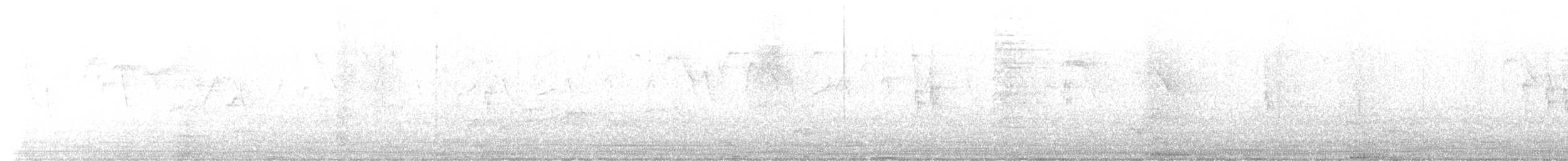 Malabar Gray Hornbill - ML533236211