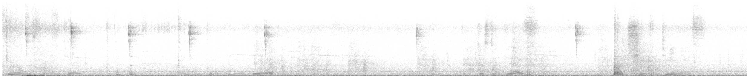 Grünbrust-Mangokolibri - ML533250281