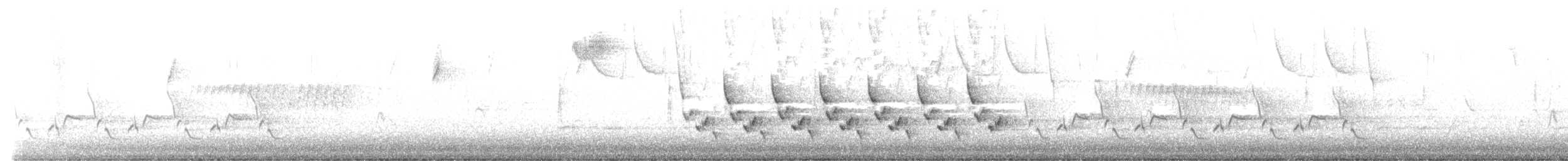Troglodyte de Caroline - ML533266391
