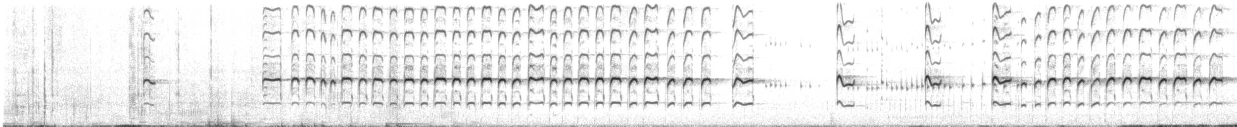 Kildir txirritxoa - ML53327041