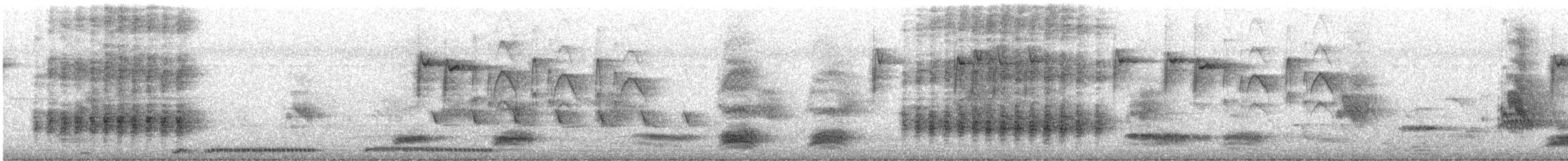 straka toulavá - ML533284371