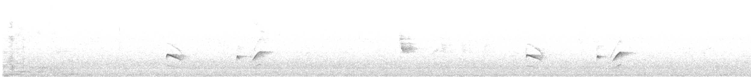 Гвианская иглохвостка - ML533296111