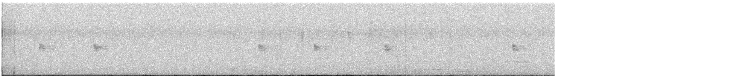 Каньонный крапивник - ML533333001