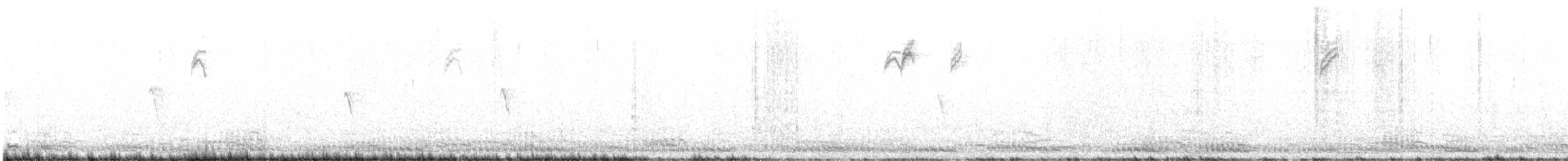 strnadec bělopásý - ML533413361