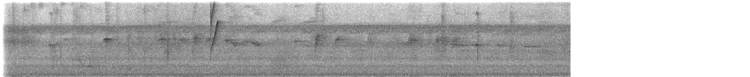 Краснохвостый колибри-отшельник - ML533456461