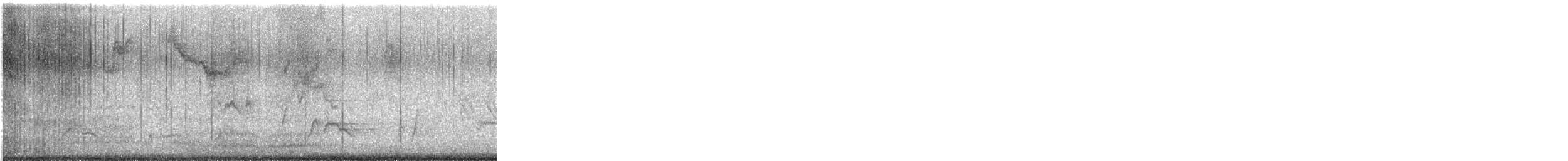 drozdec dlouhozobý - ML533480501