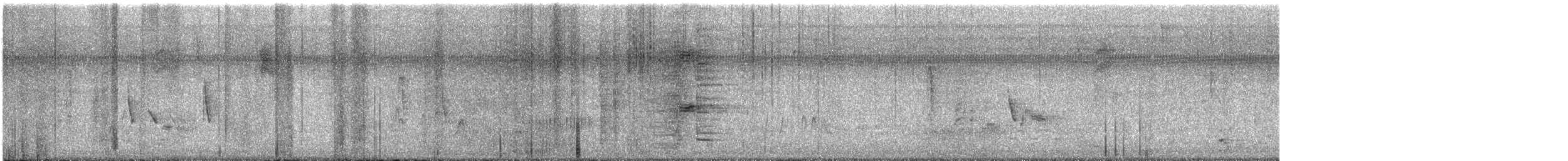 zelenáček bělooký - ML533482021