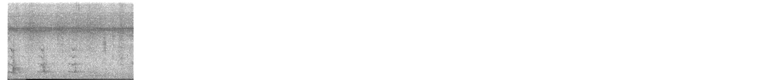 krocan divoký - ML533483621