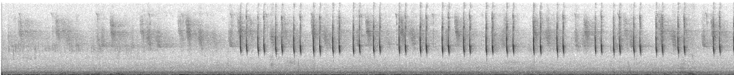 Ak Kulaklı Kolibri - ML53348521