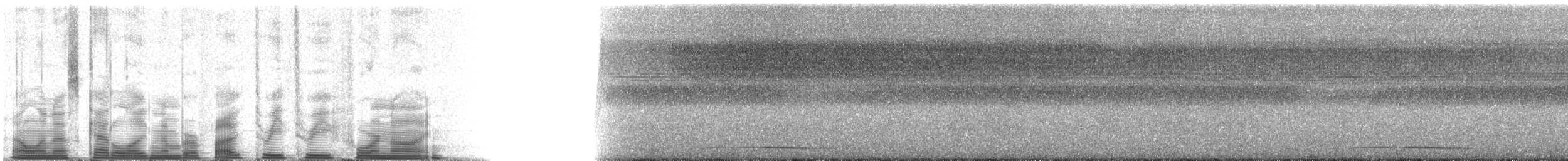 holub safírový - ML53349