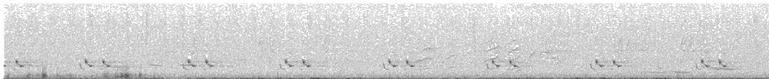 Çizgili Panterkuşu - ML533503191