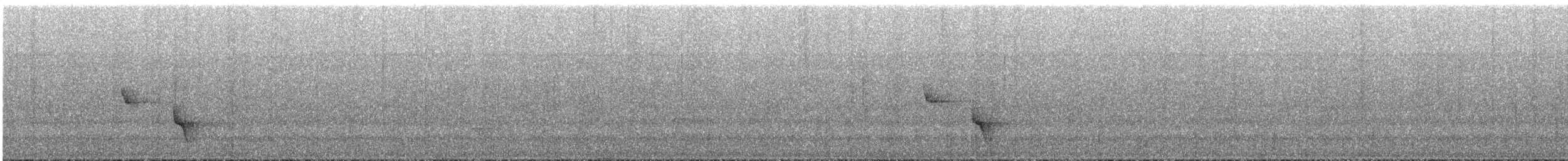 Белоухий крапивник - ML533512381