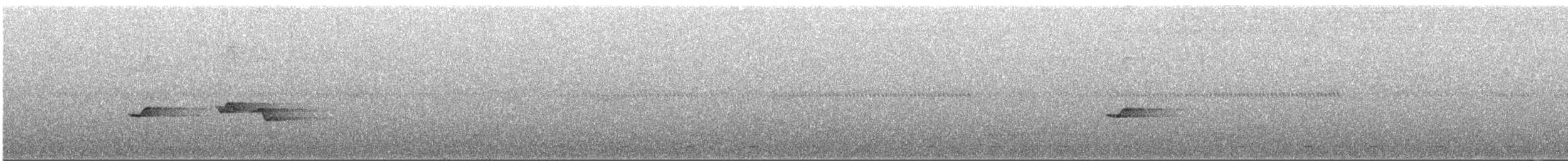 Рувензорская короткохвостка - ML533576531