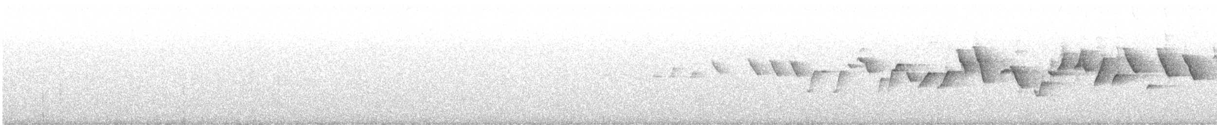Candelita de Anteojos - ML533582411