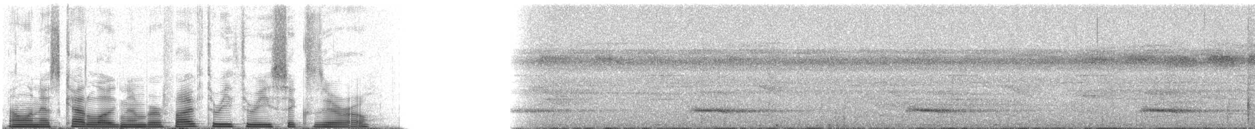 Channel-billed Toucan (Yellow-ridged) - ML53360