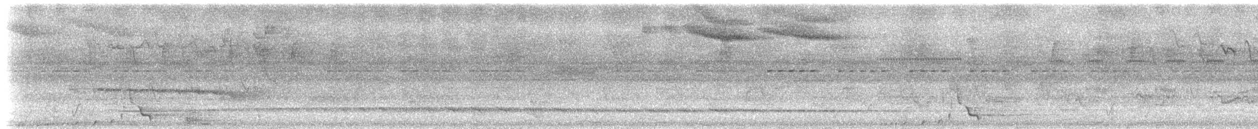 Boğmaklı Çalı Serçesi (taciturnus/nigrirostris) - ML533686511