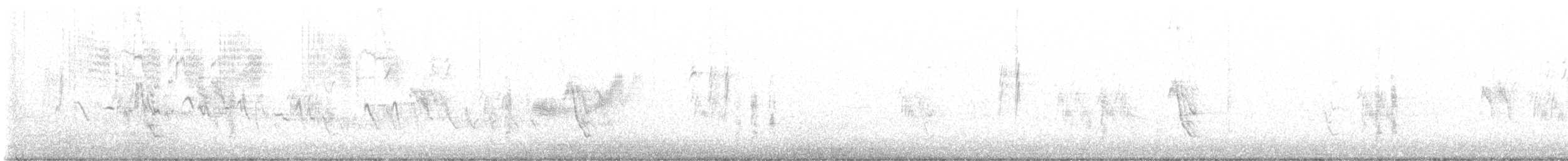 Ladder-backed Woodpecker - ML533690781