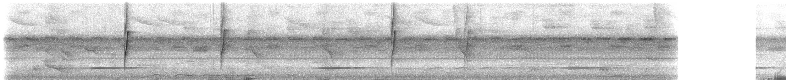 Белобородый колибри-отшельник - ML533692101