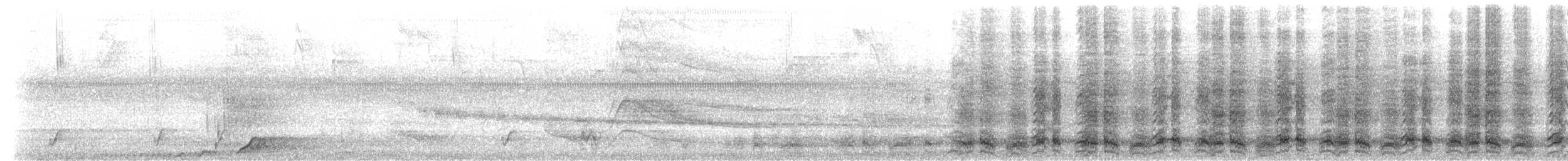 Чачалака цяткована (підвид guttata/subaffinis) - ML533692231