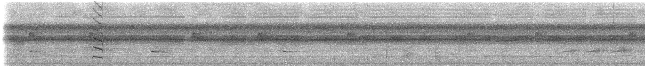 White-flanked Antwren (White-flanked) - ML533701091