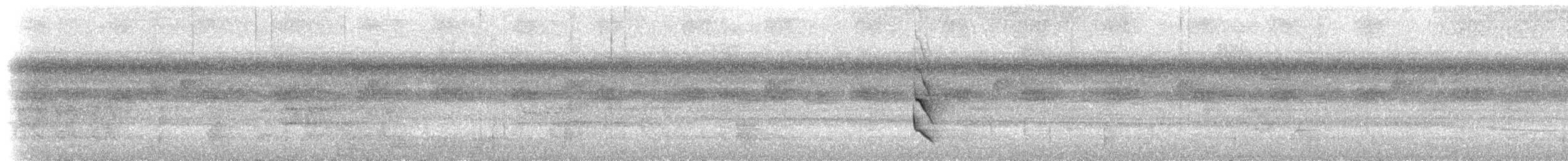 White-flanked Antwren (White-flanked) - ML533701181