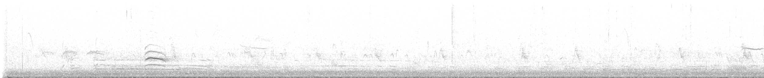 White-breasted Nuthatch - ML533704671