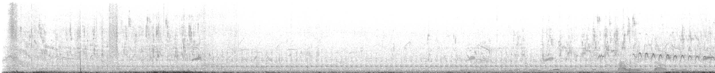 Common Babbler - ML533716941