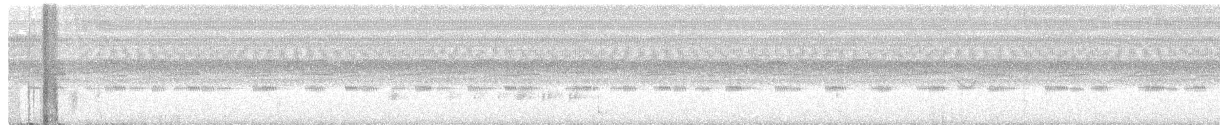 Spot-tailed Nightjar - ML533766561