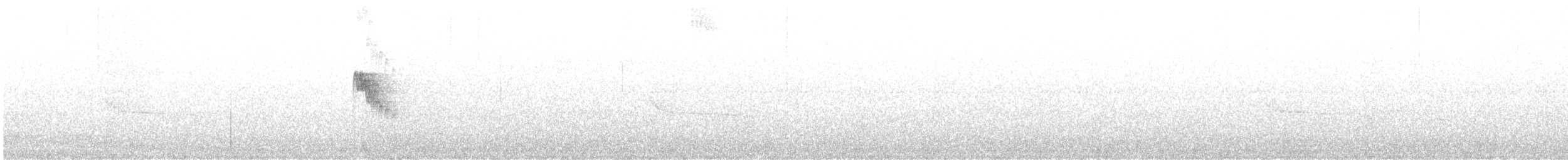 Vorgebirgs-Olivtyrann (coopmansi) - ML533804791