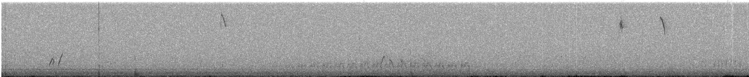 Curve-billed Thrasher - ML533806581